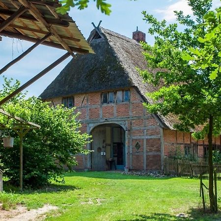 Reetscheune Kruezen Kruzen エクステリア 写真